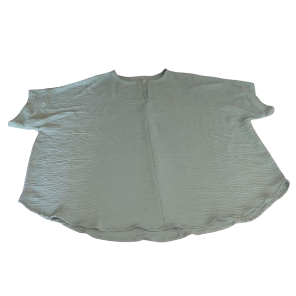 Zenana Women Plus V-Neck Dolman Short Sleeve Blouse Top Comfortable Fit Sz 3X - Picture 6 of 8